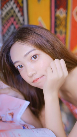 安装步骤示意图